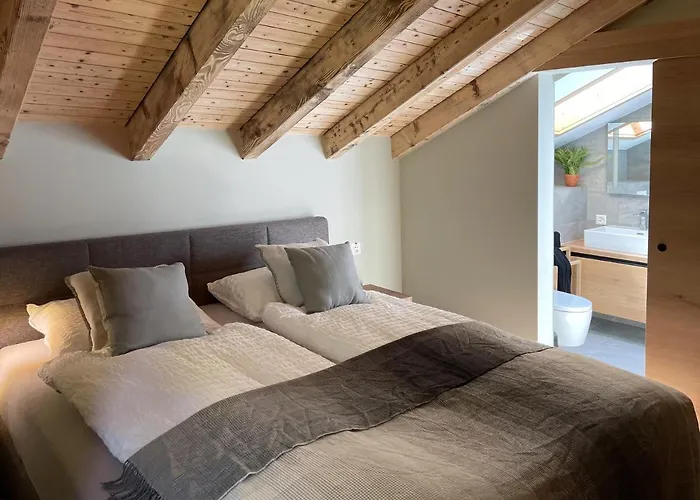 Oasis-zermatt شقة زيرمات