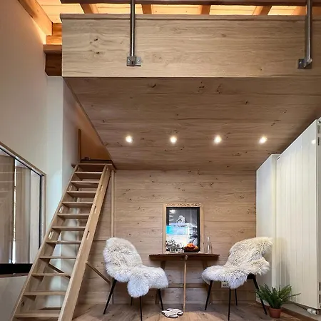 Apartment Oasis-zermatt *